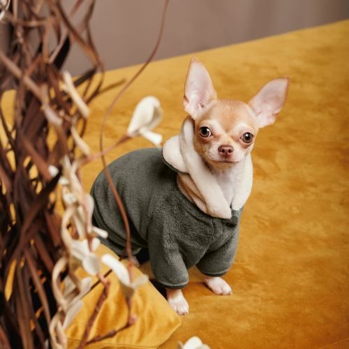 Костюм Pet Fashion &laquo;Alf&raquo; для собак, размер M, хаки PR242999 фото
