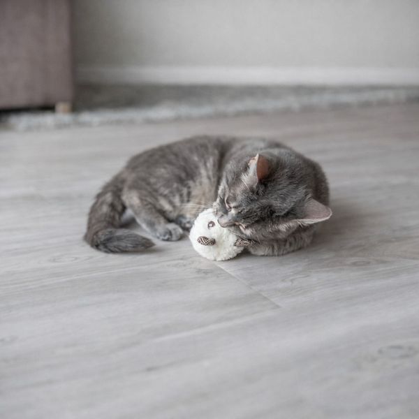 Игрушка Trixie для кошек Медведь плюшевый с кошачьей мятой 8 см в ассортименте 45557 фото