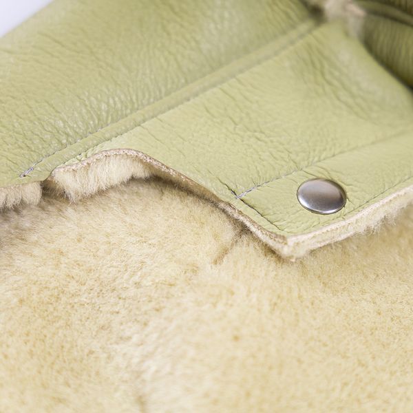 Дублянка Pet Fashion Olive для собак XS PR244700 фото