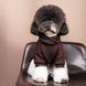 Толстовка Pet Fashion &laquo;Megan&raquo; для дівчинки, розмір S, шоколадна PR243026 фото 4