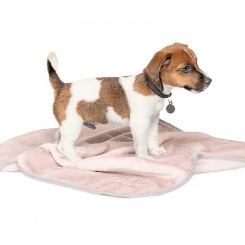 Плед Pet Fashion &laquo;Bliss&raquo; для собак и щенков, 77х60 см, пудра PR241902 фото