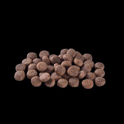 Корм сухой Brit Care Dog Grain-free Adult для взрослых собак малых и средних беззерновых пород с лососем 1 кг 172196 фото
