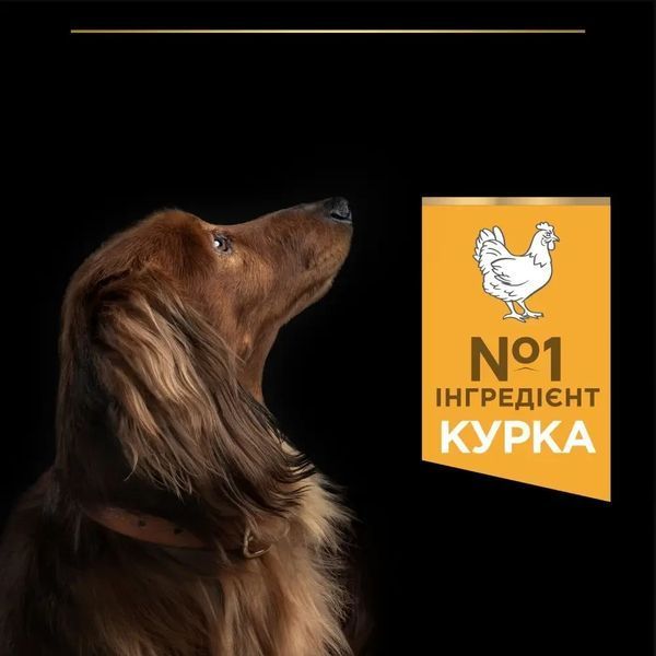 Сухой корм PRO PLAN Small&Mini Adult 1+ Everyday Nutrion для взрослых собак, с курицей, 7 кг 7613035123458 фото