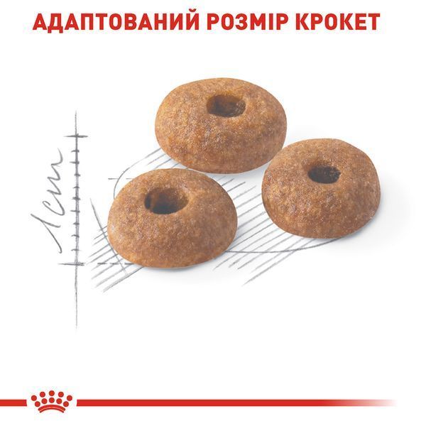 Корм для домашніх і вуличних котів ROYAL CANIN FIT&nbsp;4.0 кг 1288807364 фото