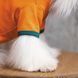 Футболка Pet Fashion &laquo;Art&raquo; для собак, размер M, оранжевая PR242095 фото 3