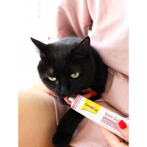 Паста GimCat Every Day Malt-Soft Paste Extra для котів для виведення шерсті зі шлунку 100 г G-407531/417936 фото