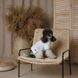 Футболка Pet Fashion Polo для собак XS2 PR244638 фото 5
