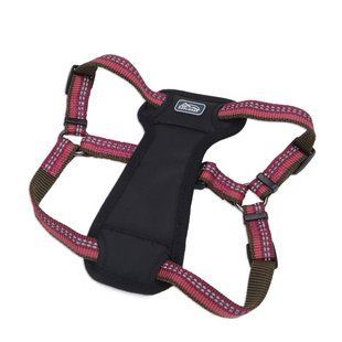 Coastal K9 Explorer Harness КОСТАЛ К9 ЕКСПЛОРЕР світловідбивна шлея з нагрудником для собак 11.3-22.6кг 36945_BRY30 фото
