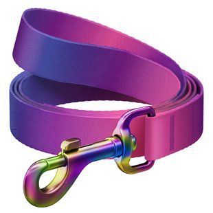 Повідець для собак з нейлону WAUDOG Nylon Recycled, градієнт, S, Ш 15 мм, Д 122 cм фіолетовий 46629 фото