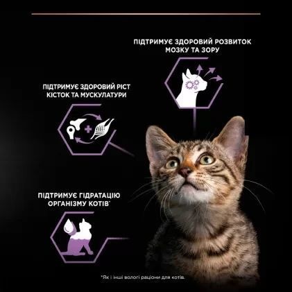 Вологий корм PRO PLAN Kitten Healthy Start для кошенят, шматочки у підливці, з індичкою, 10x85 г 7613034767646 фото