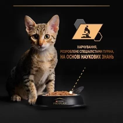 Вологий корм PRO PLAN Kitten Healthy Start для кошенят, шматочки у підливці, з індичкою, 10x85 г 7613034767646 фото