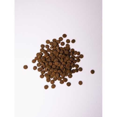Корм сухой Savory Junior Large rich in Fresh Turkey & Chicken для молодых собак больших пород от 25 кг со свежей индейкой т 30204 фото