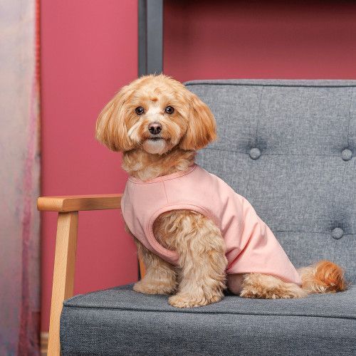 Борцівка Kale ТМ Pet Fashion для собак ХL рожева PR 441853 фото