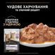 Вологий корм PRO PLAN Kitten Healthy Start для кошенят, шматочки у підливці, з індичкою, 10x85 г 7613034767646 фото 3