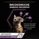 Вологий корм PRO PLAN Kitten Healthy Start для кошенят, шматочки у підливці, з індичкою, 10x85 г 7613034767646 фото 5