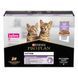Вологий корм PRO PLAN Kitten Healthy Start для кошенят, шматочки у підливці, з індичкою, 10x85 г 7613034767646 фото 1