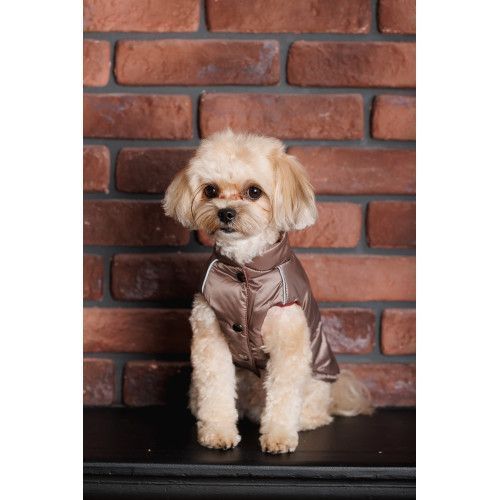 Жилет Pet Fashion Hardy для собак утепленный водонепроницаемый с отверстием для поводка бежевый размер L PR243744 фото