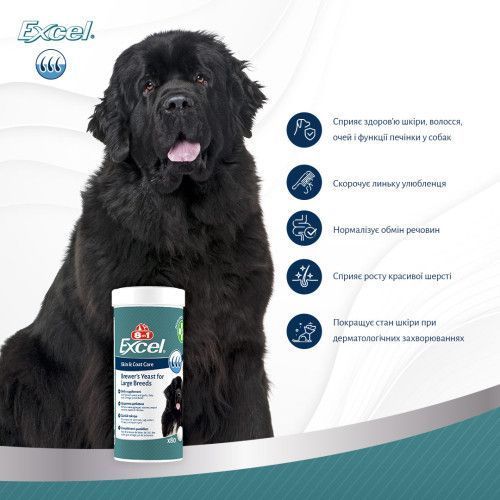 Витамины 8in1 Excel Brewers Yeast Large Breed для собак больших пород пивные дрожжи с чесноком для кожи и шерсти 80 шт 661824 фото