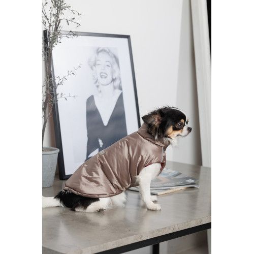 Жилет Pet Fashion Hardy для собак утепленный водонепроницаемый с отверстием для поводка бежевый размер L PR243744 фото