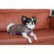 Жилет Pet Fashion Hardy для собак утепленный водонепроницаемый с отверстием для поводка бежевый размер L PR243744 фото 4