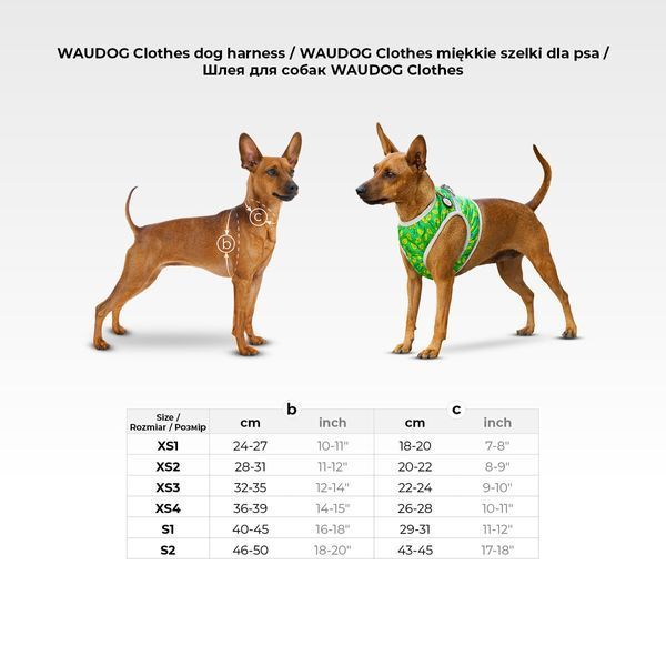 Шлея для собак м'яка WAUDOG Clothes з QR паспортом, малюнок "Чудо-жінка комікс", XS1, В 24-27 см, С 18-20 см 1001-4009 фото