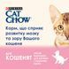 Сухий корм CAT CHOW Kitten для кошенят, з куркою, 15 кг 5997204514028 фото 6
