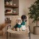 Рубашка Pet Fashion Seaman для собак S PR244627 фото 4