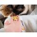 Вітамінізовані таблетки GimCat Kase Rollis для котів усіх порід сирні кульки 425г пауч G-419510 фото 4