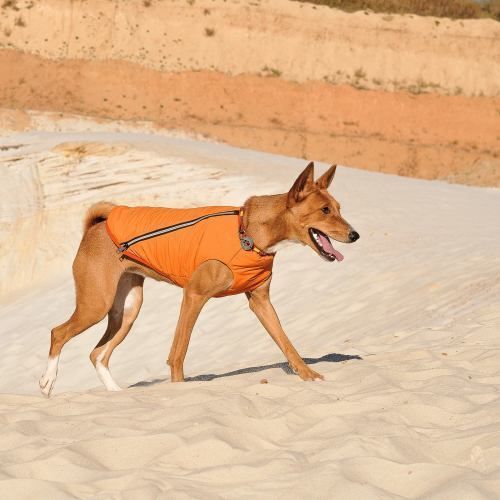 Жилет Pet Fashion E.Vest для помаранчевий собак XL PR242434 фото
