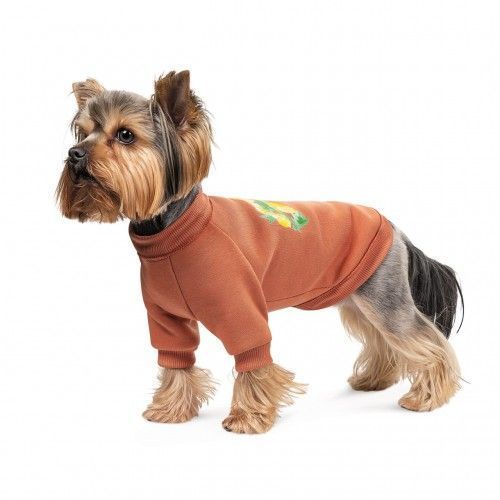Толстовка Pet Fashion Miley коричнева XS2 PR243471 фото