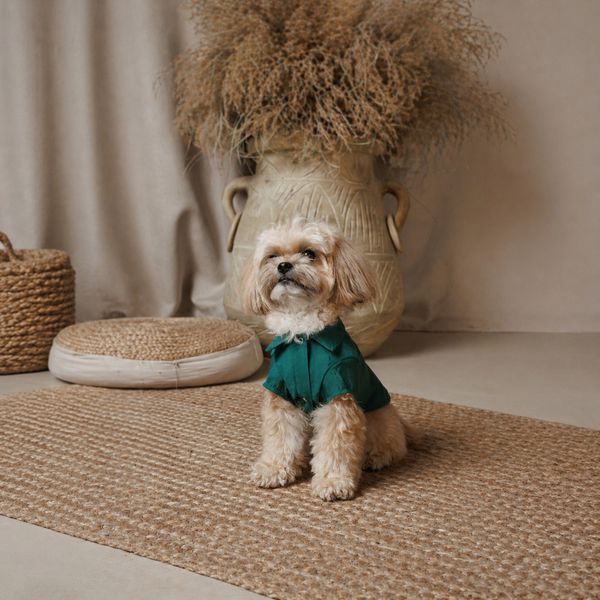 Сорочка Pet Fashion Seaman для собак XS PR244618 фото