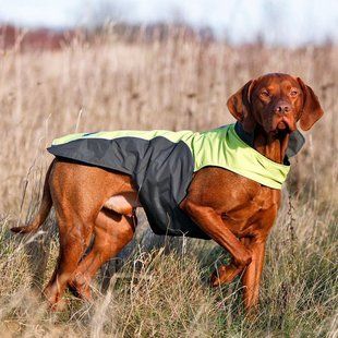 Flamingo Touchdog Coat ФЛАМИНГО ПЛАЩ попона одежда для собак 17298 фото