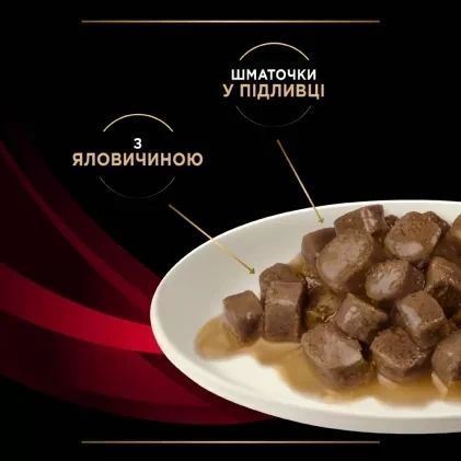 Вологий дієтичний корм PRO PLAN VETERINARY DIETS DM ST/OX Diabetes Managment для дорослих котів для регулювання надходження глюкози (цукровий діабет), шматочки у підливці, з яловичиною, 10х85 г 8445290093523 фото