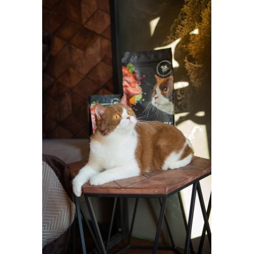 Корм сухий Savory Adult Cat Sensitive Digestion Fresh Lamb and Turkey для дорослих котів з чутливим травленням зі свіжою ягн 30075 фото