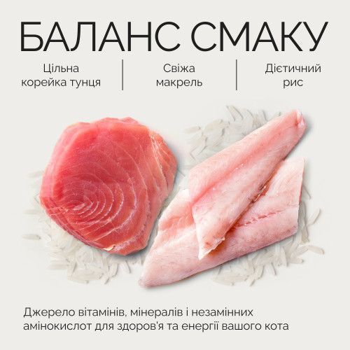 Корм вологий Savory Tuna Fillets rich in Mackerel in Jelly for Adult Cats філе тунця з макреллю в желе для дорослих котів, 7 20970 фото