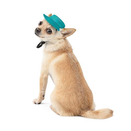 Панама Pet Fashion Rob для собак хлопок фиксатор бирюзовый М PR441440 фото