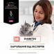 Вологий дієтичний корм PRO PLAN VETERINARY DIETS DM ST/OX Diabetes Managment для дорослих котів для регулювання надходження глюкози (цукровий діабет), шматочки у підливці, з яловичиною, 10х85 г 8445290093523 фото 5