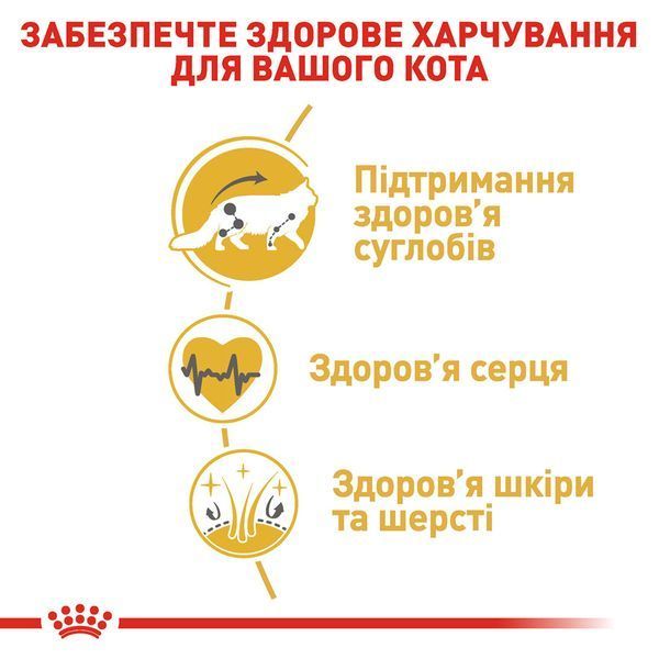 Корм для дорослих котів ROYAL CANIN MAINECOON ADULT&nbsp;4.0 кг 2801077013 фото