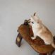 Панама Pet Fashion Gold для собак M PR244603 фото 3
