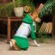 Костюм Pet Fashion &laquo;Leaf&raquo; для собак, размер XS, зеленый (лимитированная серия) PR243144 фото 6