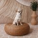 Панама Pet Fashion Gold для собак M PR244603 фото 7