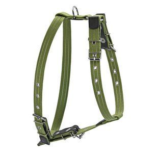 Шлея бавовняна тасьма CoLLaR Брезент для середніх собак (ширина 25мм, А:47-72см, В:68-80см) 0637 фото