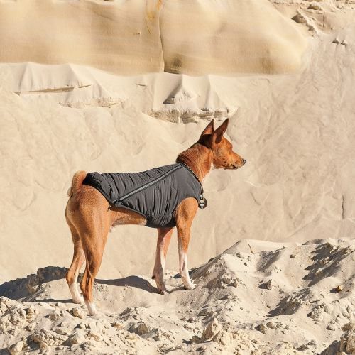 Жилет Pet Fashion E.Vest для собак сірий XS-2 PR242436 фото