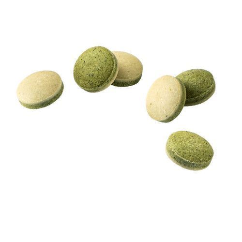 Вітаміни GimCat Nutri Biotin Bites для котів для покращення стану шерсті та шкіри з морськими водоростями 425 г G-419701 фото