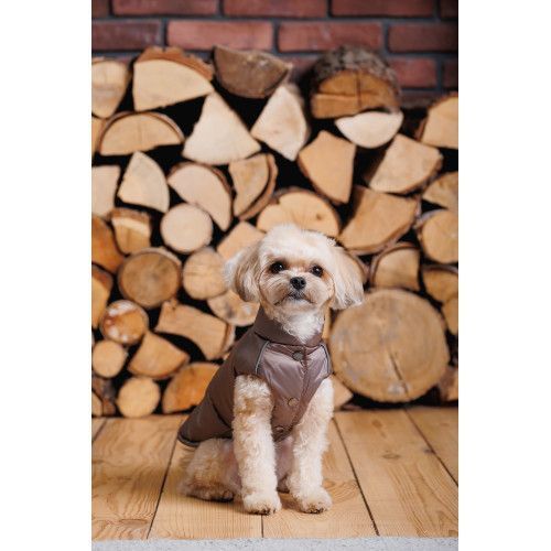 Жилет Pet Fashion Hardy для собак утепленный водонепроницаемый с отверстием для поводка бежевый размер M PR243749 фото