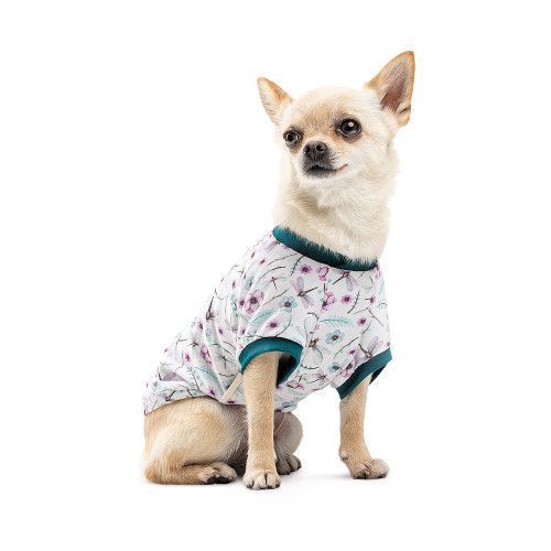 Футболка Pet Fashion Flora для собак бавовна трикотаж білий з квітковим принтом L PR441457 фото