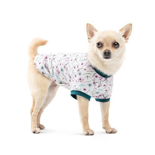 Футболка Pet Fashion Flora для собак бавовна трикотаж білий з квітковим принтом L PR441457 фото