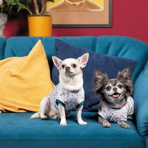 Футболка Pet Fashion Flora для собак бавовна трикотаж білий з квітковим принтом L PR441457 фото