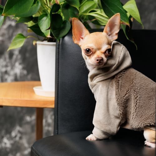 Свитер Pet Fashion &laquo;Nick&raquo; для собак, размер M, мокко (лимитированная серия) PR243253 фото