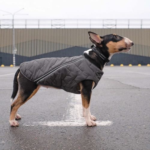 Жилет Pet Fashion E.Vest для собак сірий XS-2 PR242436 фото